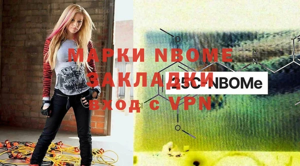 хмурый Богородицк