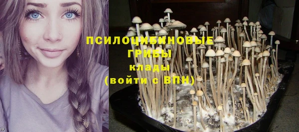 крисы Белокуриха