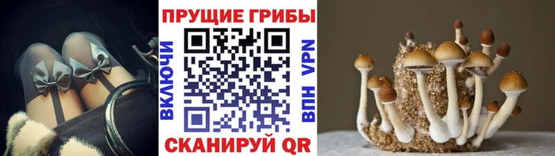 Псилоцибиновые грибы Magic Shrooms Бодайбо